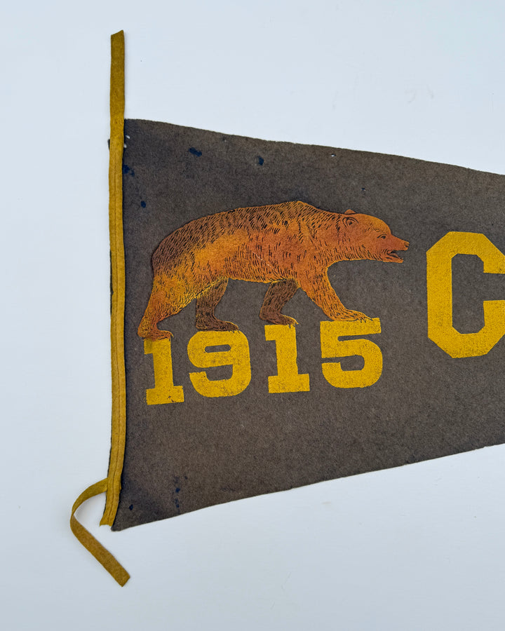1915 Wool Flet Pennant California.