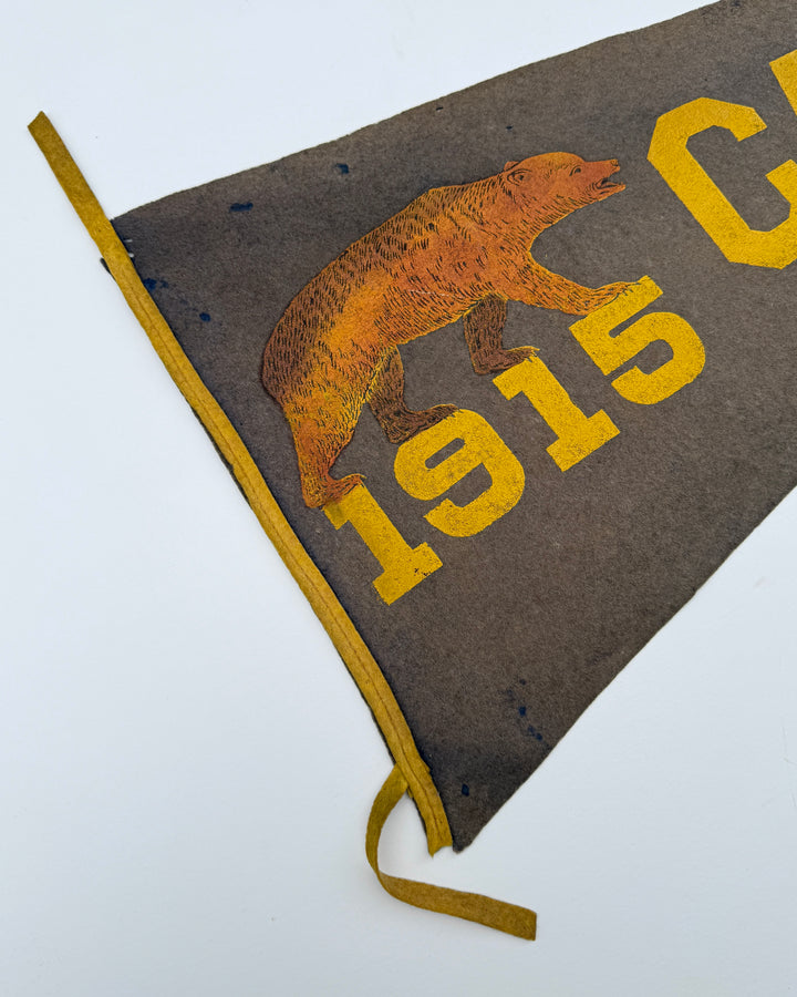 1915 Wool Flet Pennant California.