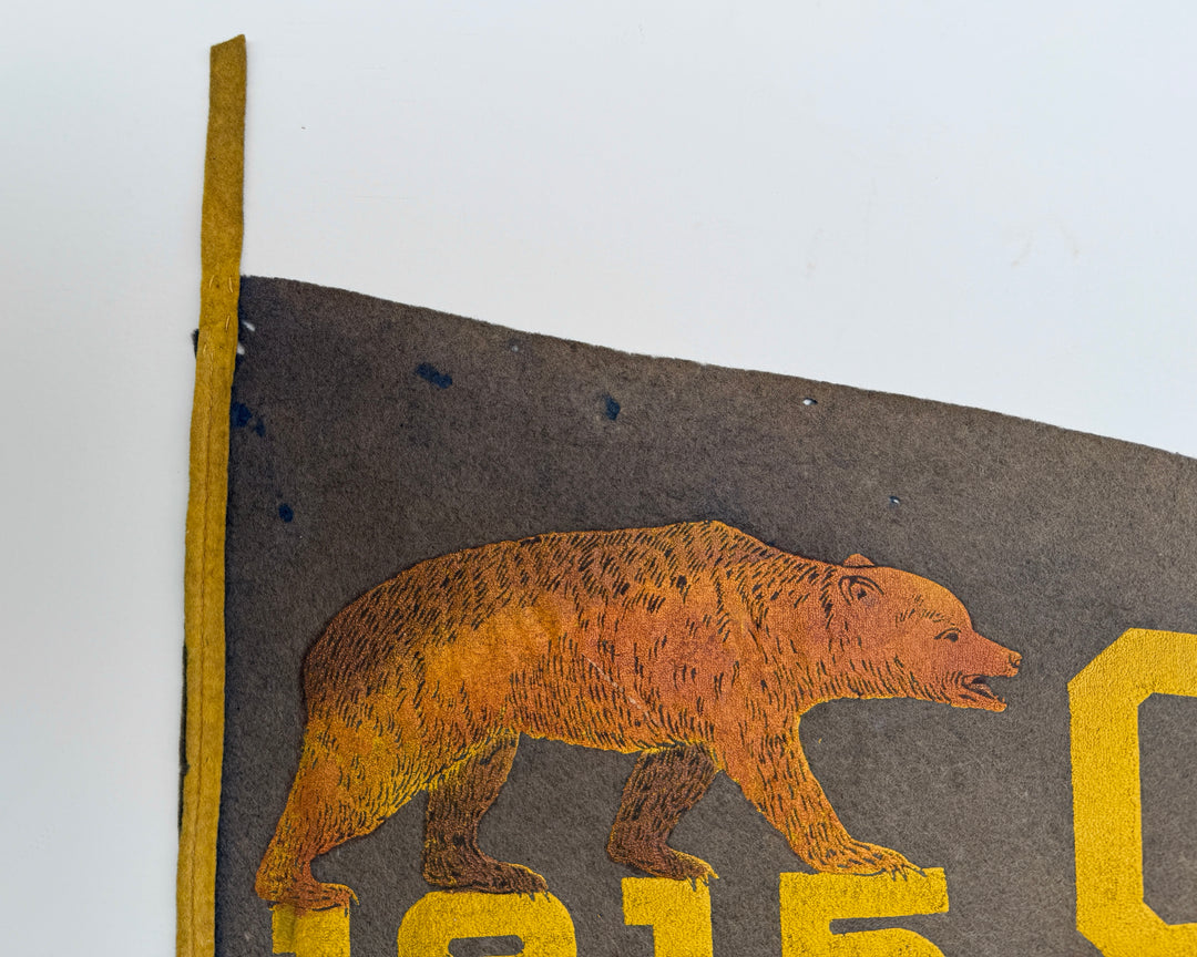 1915 Wool Flet Pennant California.
