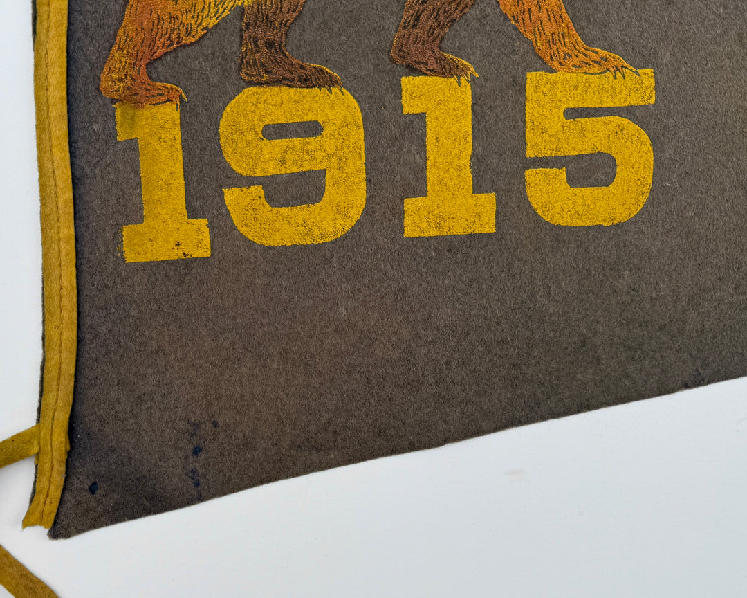 1915 Wool Flet Pennant California.