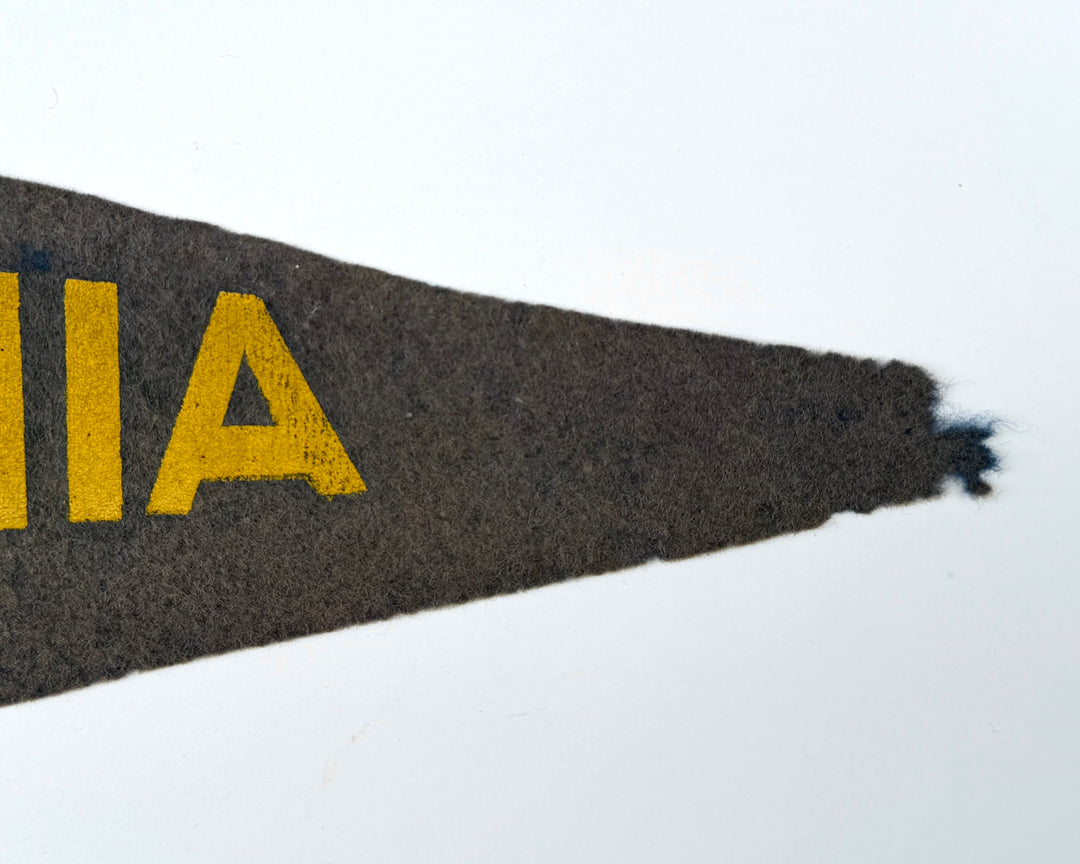 1915 Wool Flet Pennant California.