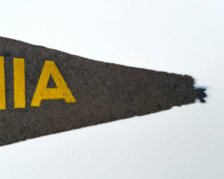 1915 Wool Flet Pennant California.